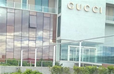 gucci scandicci autocandidatura